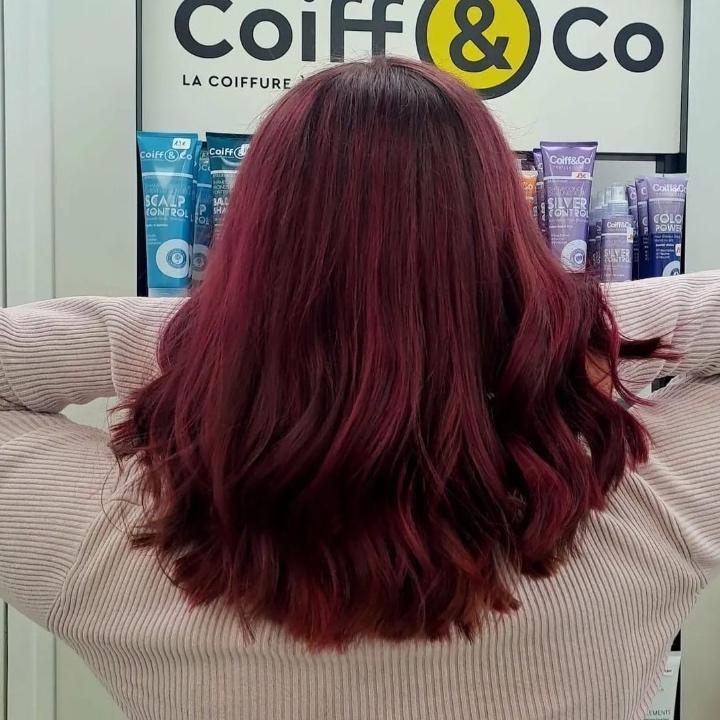 Univers cerise bordeaux